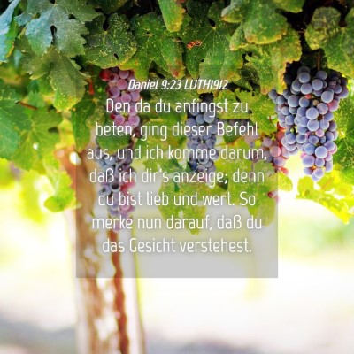 Picture 04 - Daniel 9:23 LUTH1912 - Den da du anfingst zu beten, ging dieser Befehl - Bible Verse Picture