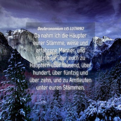 Picture 04 - Deuteronomium 1:15 LUTH1912 - Da nahm ich die Häupter eurer Stämme, weise und - Bible Verse Picture