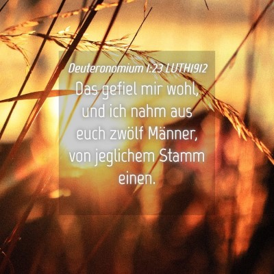 Picture 04 - Deuteronomium 1:23 LUTH1912 - Das gefiel mir wohl, und ich nahm aus euch zwölf - Bible Verse Picture