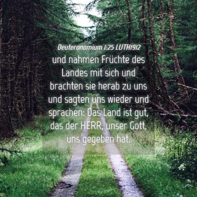 Picture 04 - Deuteronomium 1:25 LUTH1912 - und nahmen Früchte des Landes mit sich und - Bible Verse Picture