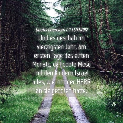 Picture 04 - Deuteronomium 1:3 LUTH1912 - Und es geschah im vierzigsten Jahr, am ersten - Bible Verse Picture