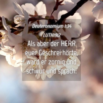 Picture 04 - Deuteronomium 1:34 LUTH1912 - Als aber der HERR euer Geschrei hörte, ward er - Bible Verse Picture