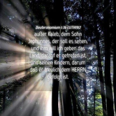Picture 04 - Deuteronomium 1:36 LUTH1912 - außer Kaleb, dem Sohn Jephunnes, der soll es - Bible Verse Picture
