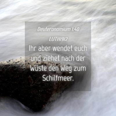 Picture 04 - Deuteronomium 1:40 LUTH1912 - Ihr aber wendet euch und ziehet nach der Wüste - Bible Verse Picture