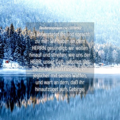 Picture 04 - Deuteronomium 1:41 LUTH1912 - Da antwortetet ihr und spracht zu mir: Wir haben - Bible Verse Picture