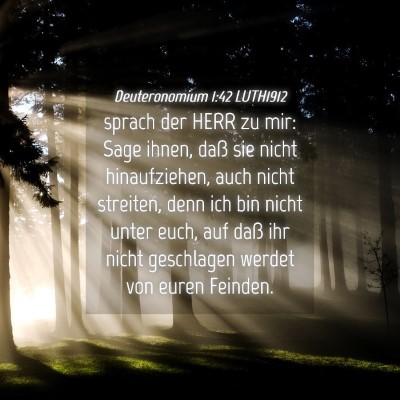 Picture 04 - Deuteronomium 1:42 LUTH1912 - sprach der HERR zu mir: Sage ihnen, daß sie - Bible Verse Picture