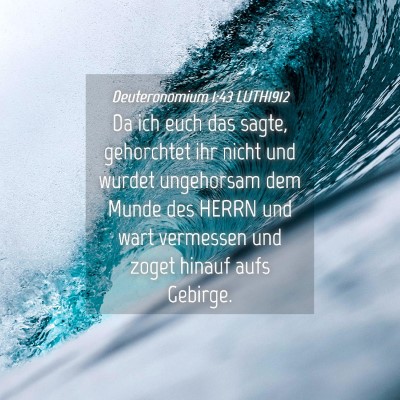 Picture 04 - Deuteronomium 1:43 LUTH1912 - Da ich euch das sagte, gehorchtet ihr nicht und - Bible Verse Picture