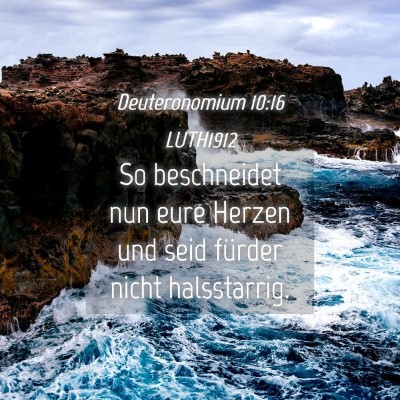 Picture 04 - Deuteronomium 10:16 LUTH1912 - So beschneidet nun eure Herzen und seid fürder - Bible Verse Picture