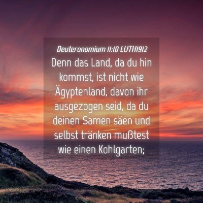 Picture 04 - Deuteronomium 11:10 LUTH1912 - Denn das Land, da du hin kommst, ist nicht wie - Bible Verse Picture