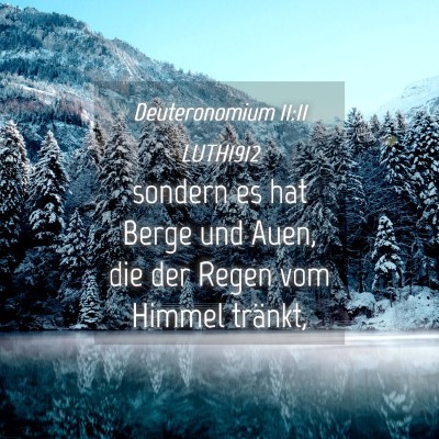 Picture 04 - Deuteronomium 11:11 LUTH1912 - sondern es hat Berge und Auen, die der Regen vom - Bible Verse Picture