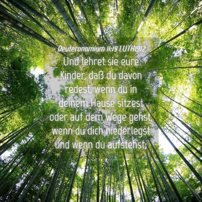 Picture 04 - Deuteronomium 11:19 LUTH1912 - Und lehret sie eure Kinder, daß du davon redest, - Bible Verse Picture