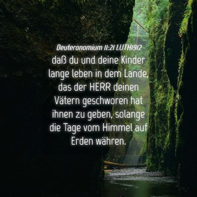 Picture 04 - Deuteronomium 11:21 LUTH1912 - daß du und deine Kinder lange leben in dem - Bible Verse Picture