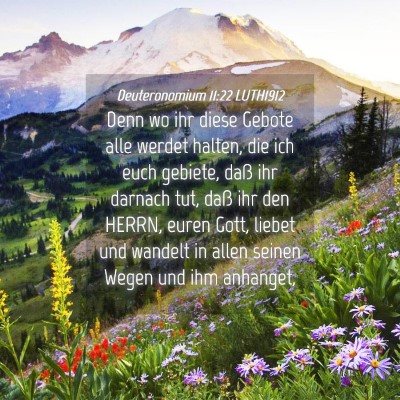 Picture 04 - Deuteronomium 11:22 LUTH1912 - Denn wo ihr diese Gebote alle werdet halten, die - Bible Verse Picture