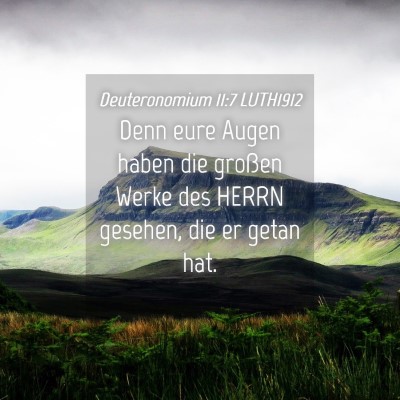 Picture 04 - Deuteronomium 11:7 LUTH1912 - Denn eure Augen haben die großen Werke des HERRN - Bible Verse Picture