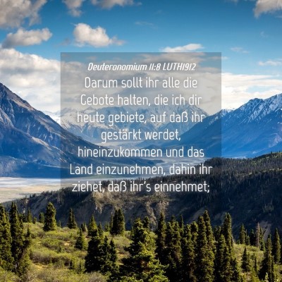 Picture 04 - Deuteronomium 11:8 LUTH1912 - Darum sollt ihr alle die Gebote halten, die ich - Bible Verse Picture