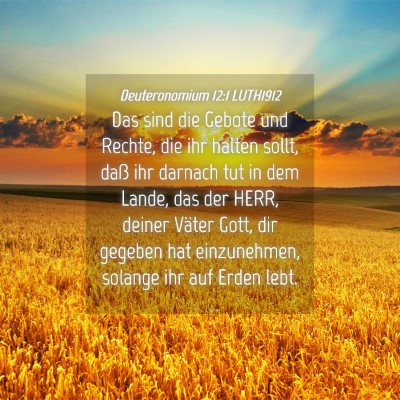 Picture 04 - Deuteronomium 12:1 LUTH1912 - Das sind die Gebote und Rechte, die ihr halten - Bible Verse Picture
