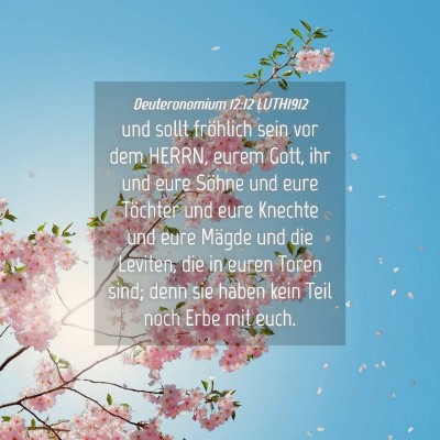 Picture 04 - Deuteronomium 12:12 LUTH1912 - und sollt fröhlich sein vor dem HERRN, eurem - Bible Verse Picture