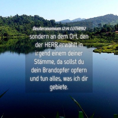 Picture 04 - Deuteronomium 12:14 LUTH1912 - sondern an dem Ort, den der HERR erwählt in - Bible Verse Picture