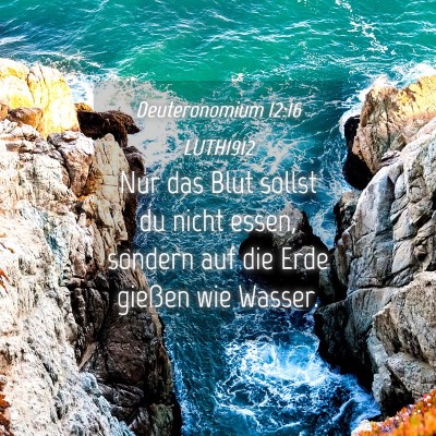 Picture 04 - Deuteronomium 12:16 LUTH1912 - Nur das Blut sollst du nicht essen, sondern auf - Bible Verse Picture