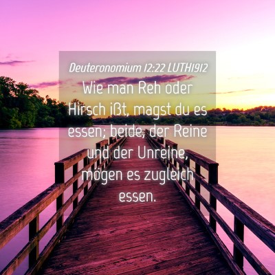 Picture 04 - Deuteronomium 12:22 LUTH1912 - Wie man Reh oder Hirsch ißt, magst du es essen; - Bible Verse Picture