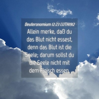 Picture 04 - Deuteronomium 12:23 LUTH1912 - Allein merke, daß du das Blut nicht essest, denn - Bible Verse Picture