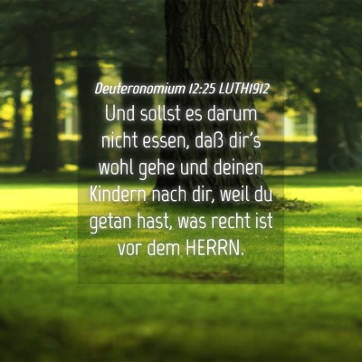 Picture 04 - Deuteronomium 12:25 LUTH1912 - Und sollst es darum nicht essen, daß dir's wohl - Bible Verse Picture