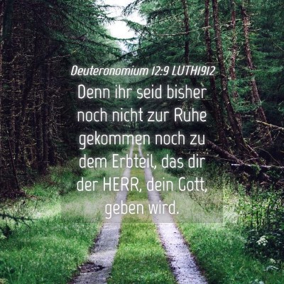 Picture 04 - Deuteronomium 12:9 LUTH1912 - Denn ihr seid bisher noch nicht zur Ruhe gekommen - Bible Verse Picture