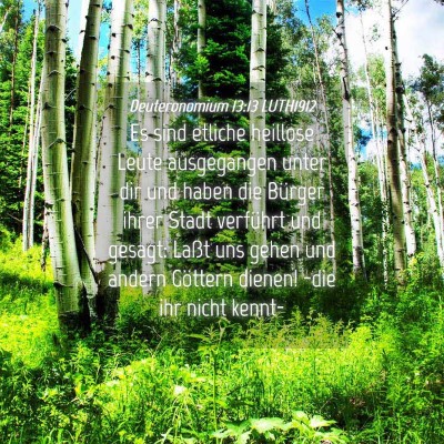 Picture 04 - Deuteronomium 13:13 LUTH1912 - Es sind etliche heillose Leute ausgegangen unter - Bible Verse Picture