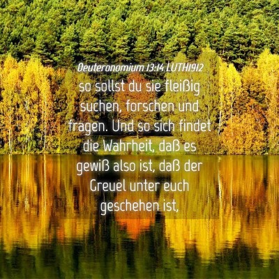 Picture 04 - Deuteronomium 13:14 LUTH1912 - so sollst du sie fleißig suchen, forschen und - Bible Verse Picture