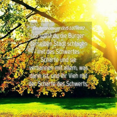 Picture 04 - Deuteronomium 13:15 LUTH1912 - so sollst du die Bürger derselben Stadt schlagen - Bible Verse Picture