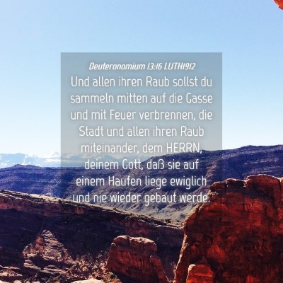 Picture 04 - Deuteronomium 13:16 LUTH1912 - Und allen ihren Raub sollst du sammeln mitten auf - Bible Verse Picture