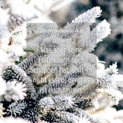 Picture 04 - Deuteronomium 14:10 LUTH1912 - Was aber keine Floßfedern noch Schuppen hat, - Bible Verse Picture