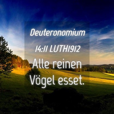 Picture 04 - Deuteronomium 14:11 LUTH1912 - Alle reinen Vögel - Bible Verse Picture