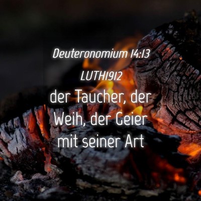 Picture 04 - Deuteronomium 14:13 LUTH1912 - der Taucher, der Weih, der Geier mit seiner - Bible Verse Picture