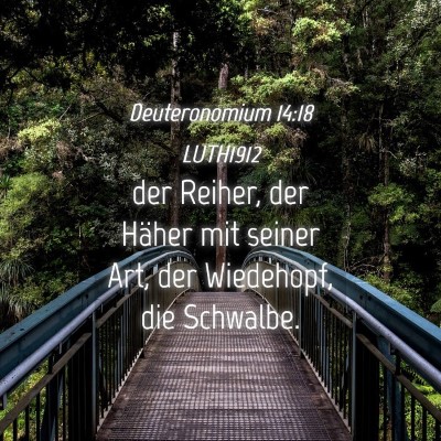 Picture 04 - Deuteronomium 14:18 LUTH1912 - der Reiher, der Häher mit seiner Art, der - Bible Verse Picture
