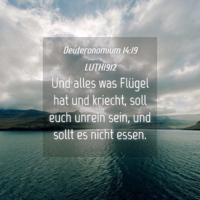 Picture 04 - Deuteronomium 14:19 LUTH1912 - Und alles was Flügel hat und kriecht, soll euch - Bible Verse Picture