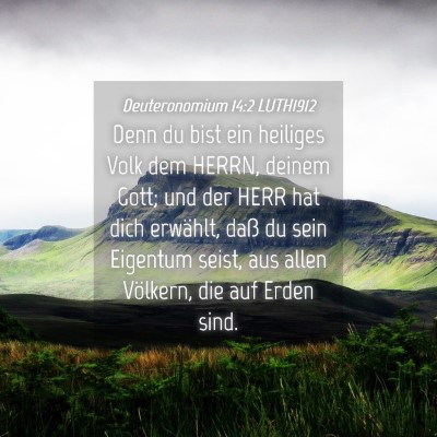 Picture 04 - Deuteronomium 14:2 LUTH1912 - Denn du bist ein heiliges Volk dem HERRN, deinem - Bible Verse Picture