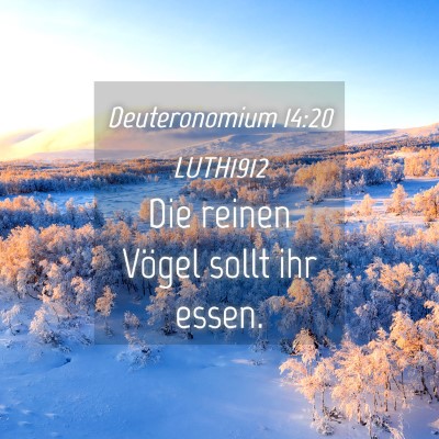 Picture 04 - Deuteronomium 14:20 LUTH1912 - Die reinen Vögel sollt ihr - Bible Verse Picture