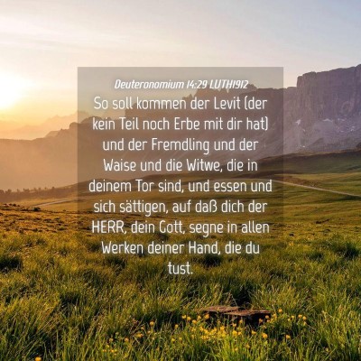Picture 04 - Deuteronomium 14:29 LUTH1912 - So soll kommen der Levit (der kein Teil noch Erbe - Bible Verse Picture