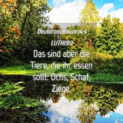 Picture 04 - Deuteronomium 14:4 LUTH1912 - Das sind aber die Tiere, die ihr essen sollt: - Bible Verse Picture