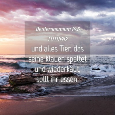 Picture 04 - Deuteronomium 14:6 LUTH1912 - und alles Tier, das seine Klauen spaltet und - Bible Verse Picture