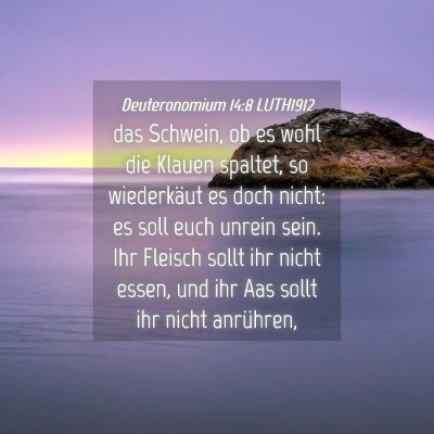 Picture 04 - Deuteronomium 14:8 LUTH1912 - das Schwein, ob es wohl die Klauen spaltet, so - Bible Verse Picture