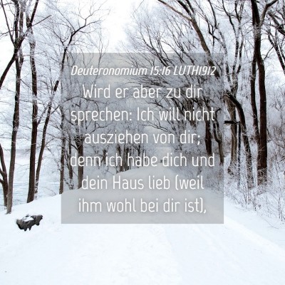 Picture 04 - Deuteronomium 15:16 LUTH1912 - Wird er aber zu dir sprechen: Ich will nicht - Bible Verse Picture