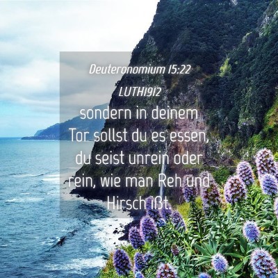 Picture 04 - Deuteronomium 15:22 LUTH1912 - sondern in deinem Tor sollst du es essen, du - Bible Verse Picture