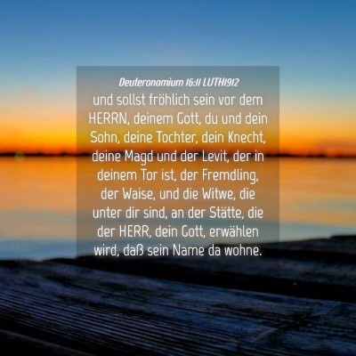Picture 04 - Deuteronomium 16:11 LUTH1912 - und sollst fröhlich sein vor dem HERRN, deinem - Bible Verse Picture