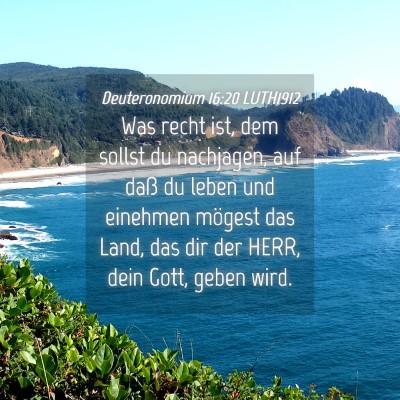 Picture 04 - Deuteronomium 16:20 LUTH1912 - Was recht ist, dem sollst du nachjagen, auf daß - Bible Verse Picture