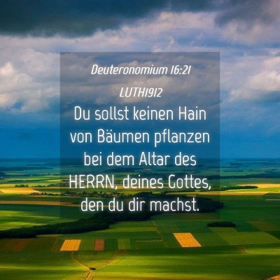 Picture 04 - Deuteronomium 16:21 LUTH1912 - Du sollst keinen Hain von Bäumen pflanzen bei - Bible Verse Picture