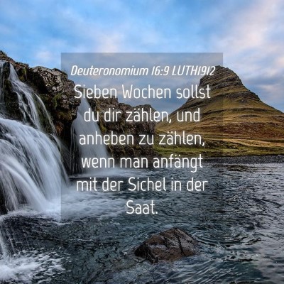 Picture 04 - Deuteronomium 16:9 LUTH1912 - Sieben Wochen sollst du dir zählen, und anheben - Bible Verse Picture