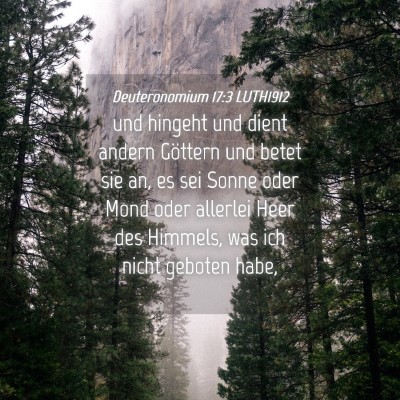 Picture 04 - Deuteronomium 17:3 LUTH1912 - und hingeht und dient andern Göttern und betet - Bible Verse Picture