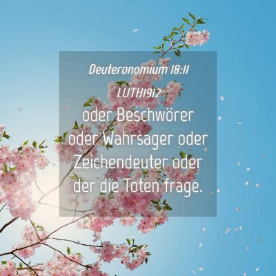 Picture 04 - Deuteronomium 18:11 LUTH1912 - oder Beschwörer oder Wahrsager oder - Bible Verse Picture